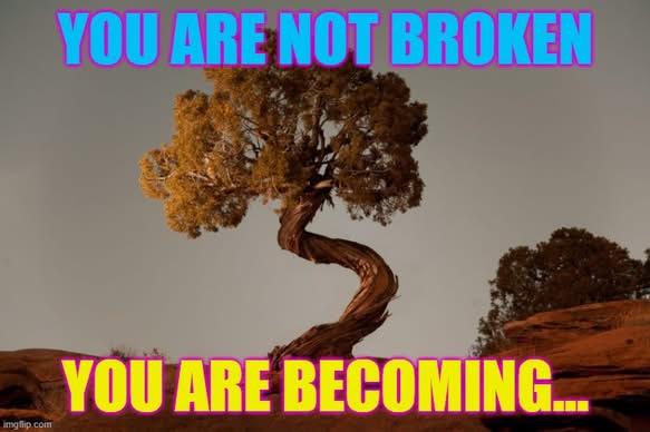 What are you working on?