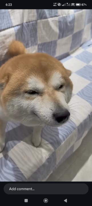 Wang Chris