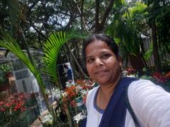 Jayasree A