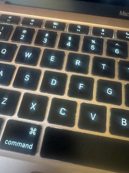 Vanessa Dorvil