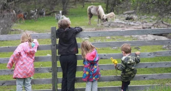 Beyond Organic 🌱🥕🥒🍅🥦🐓🦆