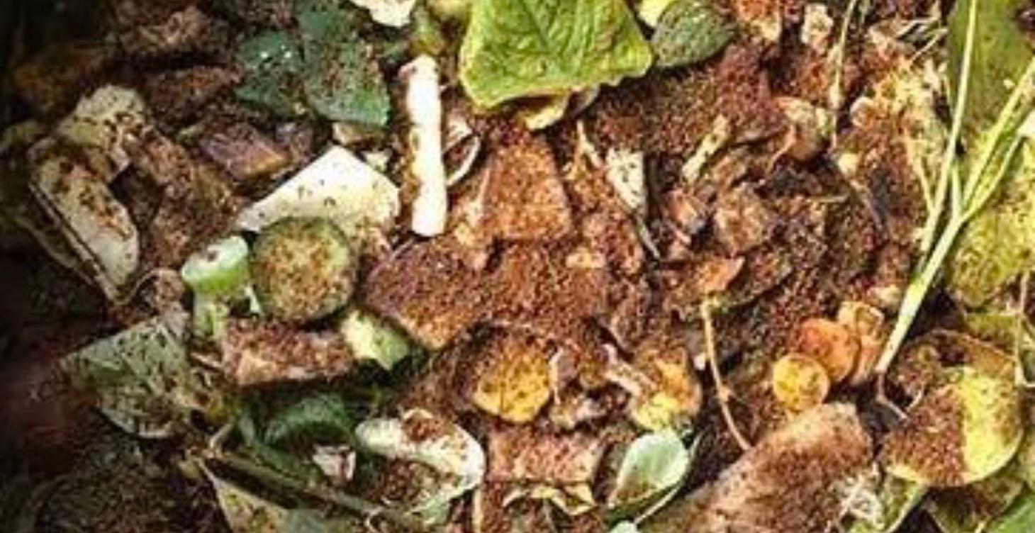Bokashi Composting