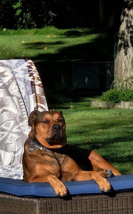 Dylan Eaton