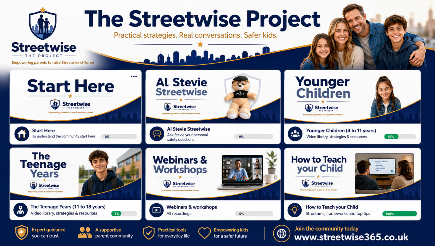 The Streetwise Project