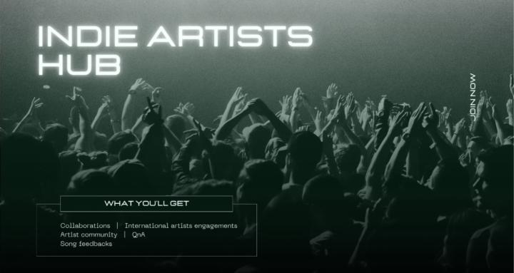 Indie artist hub