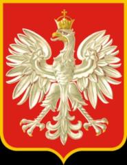 Tymek Junak
