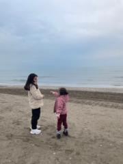 Bedia H