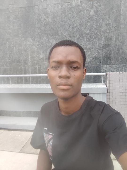 Louis Gérald Tognon