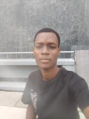 Louis Gérald Tognon