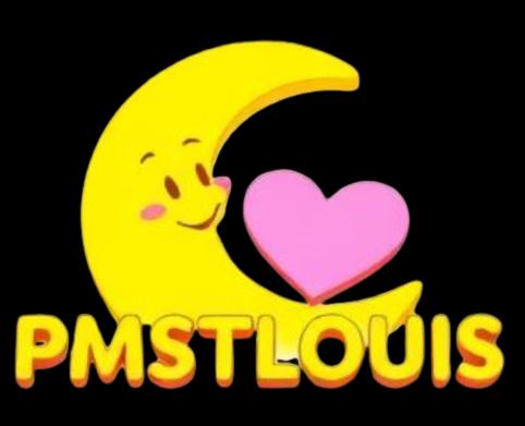 Pmstlouis Llc