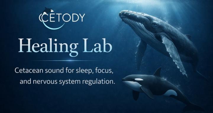 Cetody — Sleep, Focus & Calm