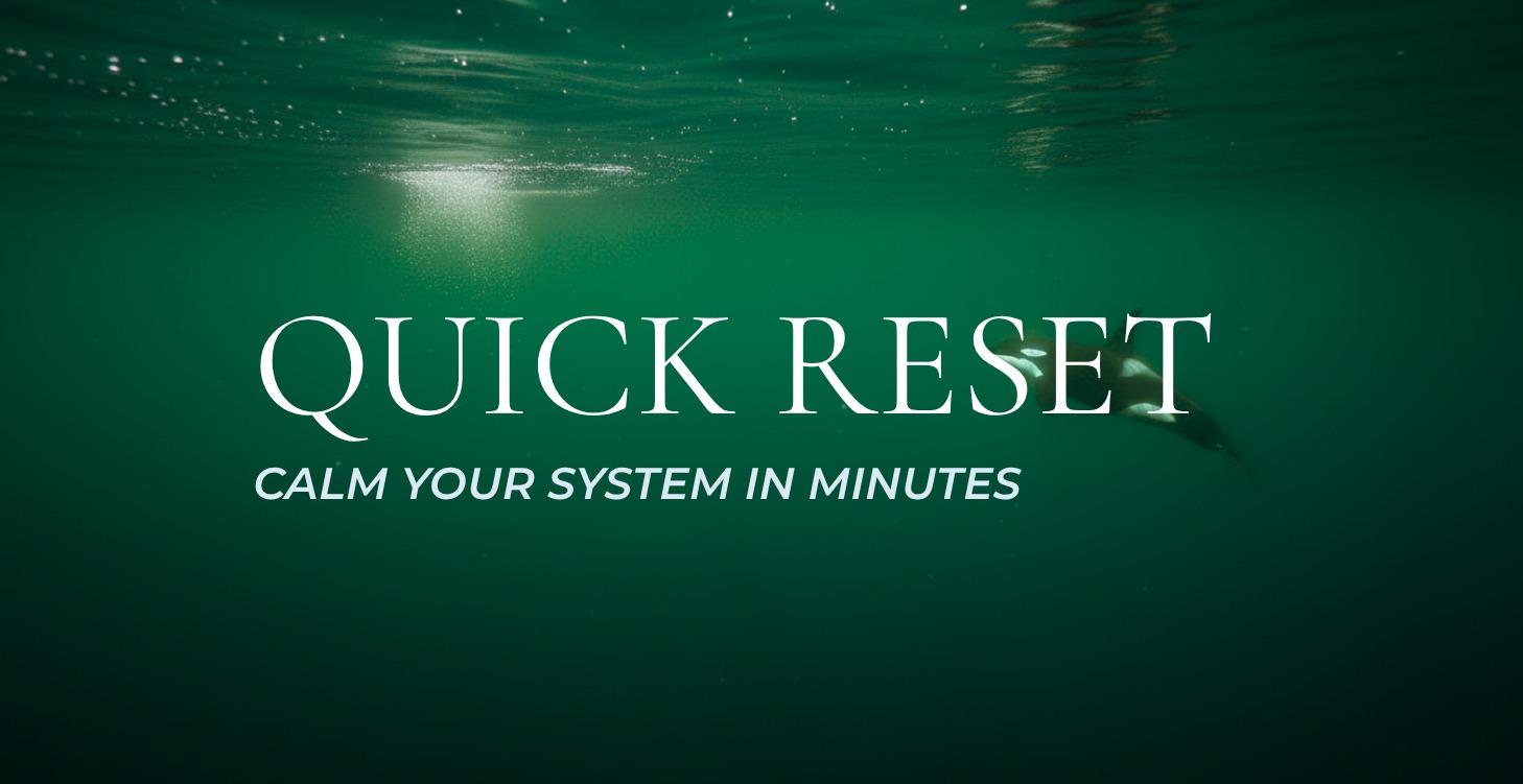 Quick Reset
