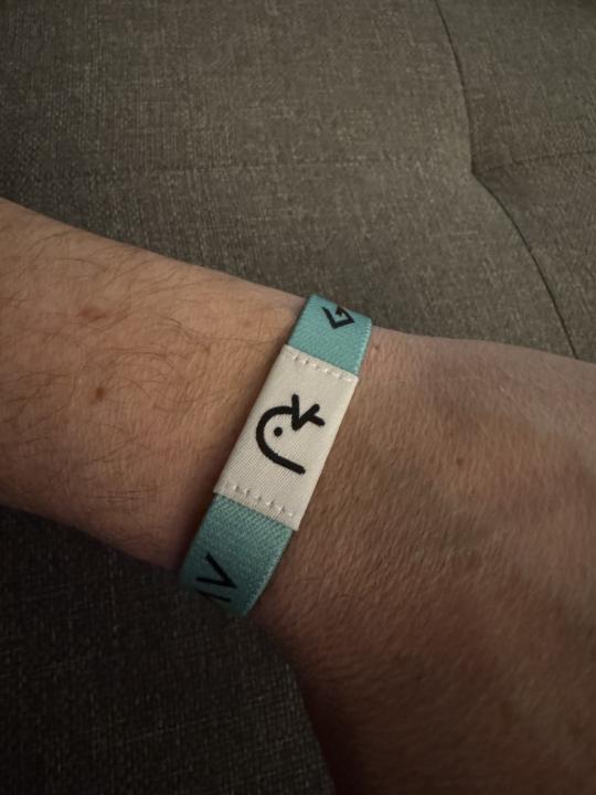 NFC Bracelets & PoS Items from Temu