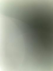 سلطان البرقي