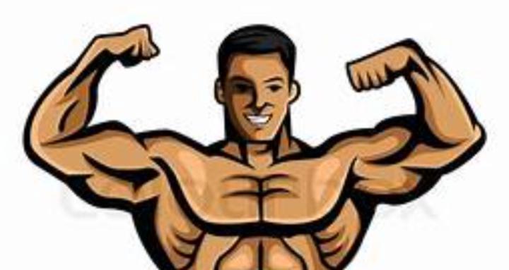 Bodybuilding and Training