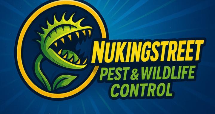 Nukingstreet