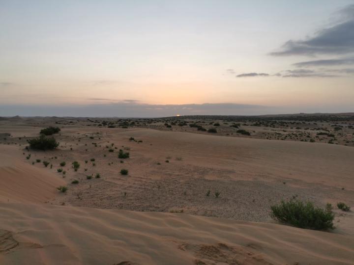 Mohamed Lamei