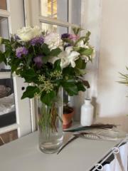 Alexandra Nunes-olivin