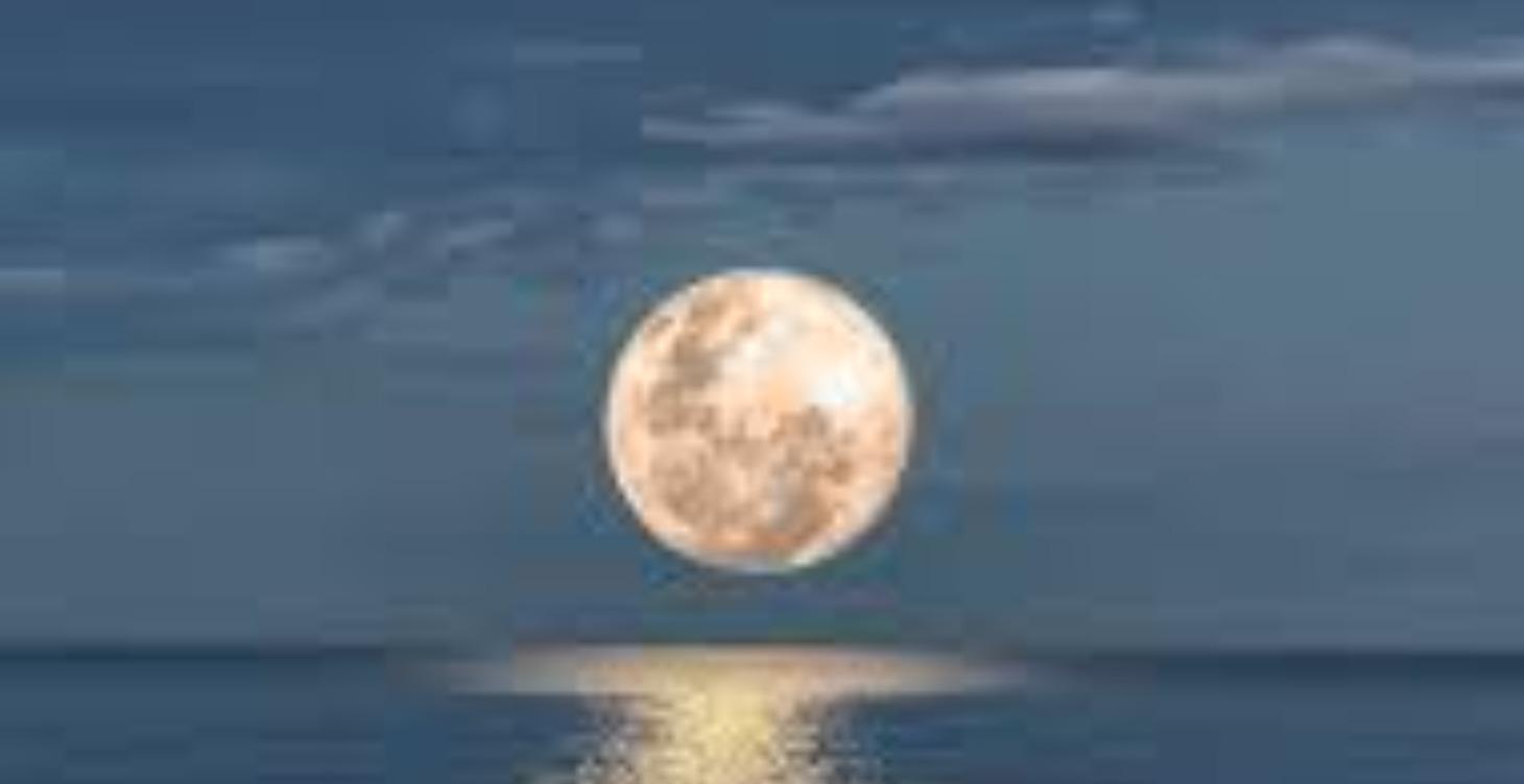 Moon Rhythm Calendar