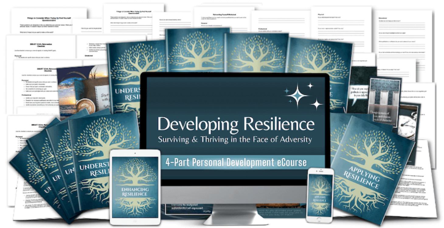 STEP 3: Resilience: Conquering Your Life
