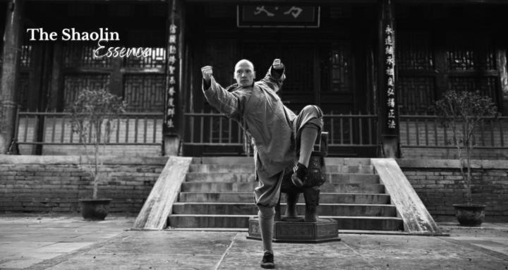Shaolin Kung Fu Essence