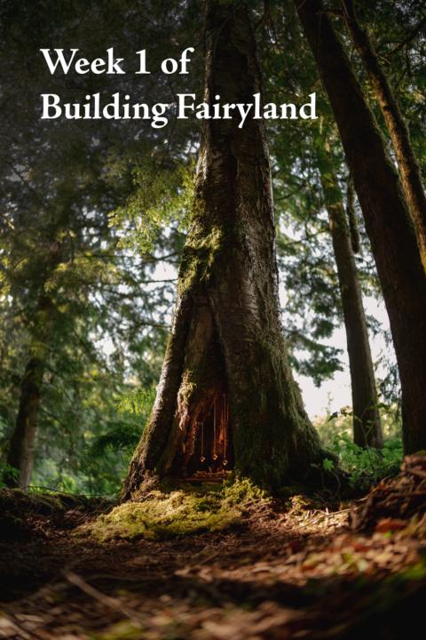 Fairyland - Week 1 Recap 🌿