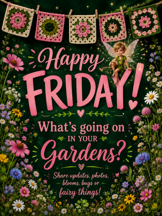 Happy Friday 