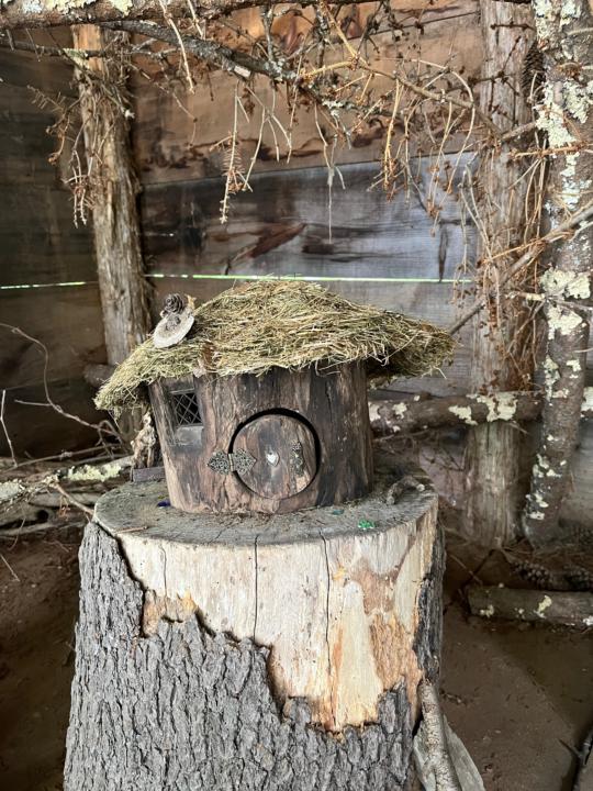Thatched Roof