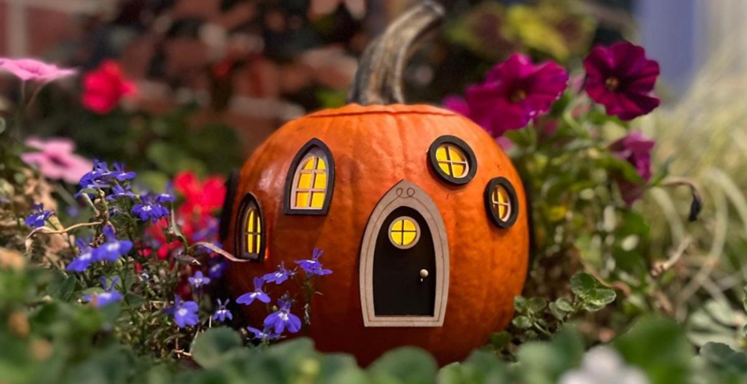 The Fairy House Pumpkin challange