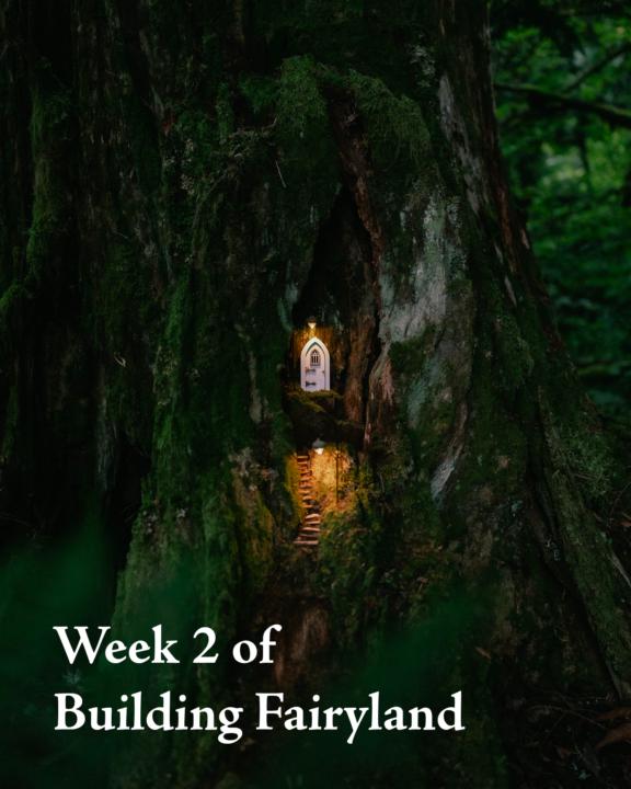Week 2 of building Fairyland
