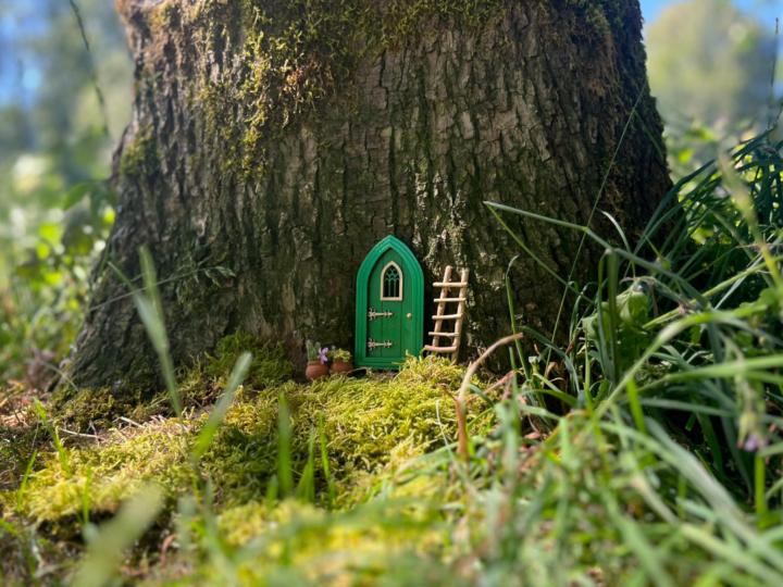 How do you attach a fairy door onto a tree?