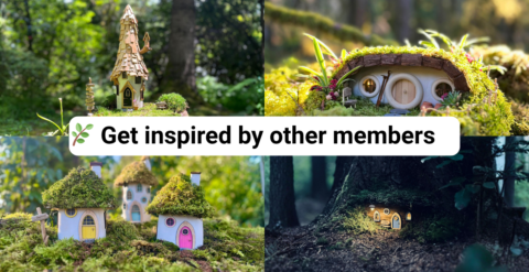 Mary’s Fairyland Community gallery image