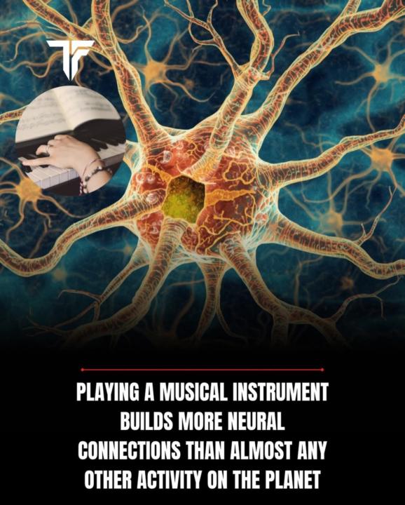 Neuroscience and Music