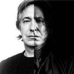 Greg Nolan