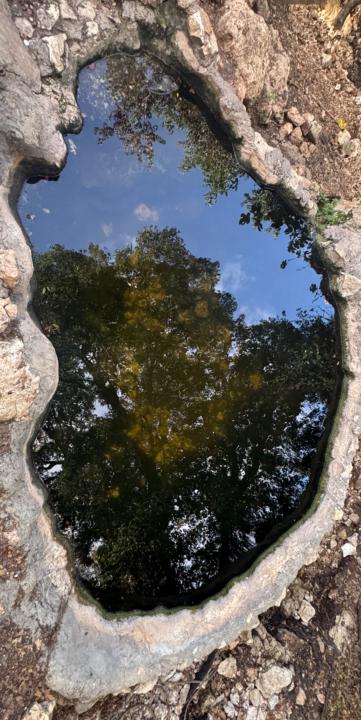 365 Program will include a Daily Riff for you - here is a sample with a magical surprise at the end! 