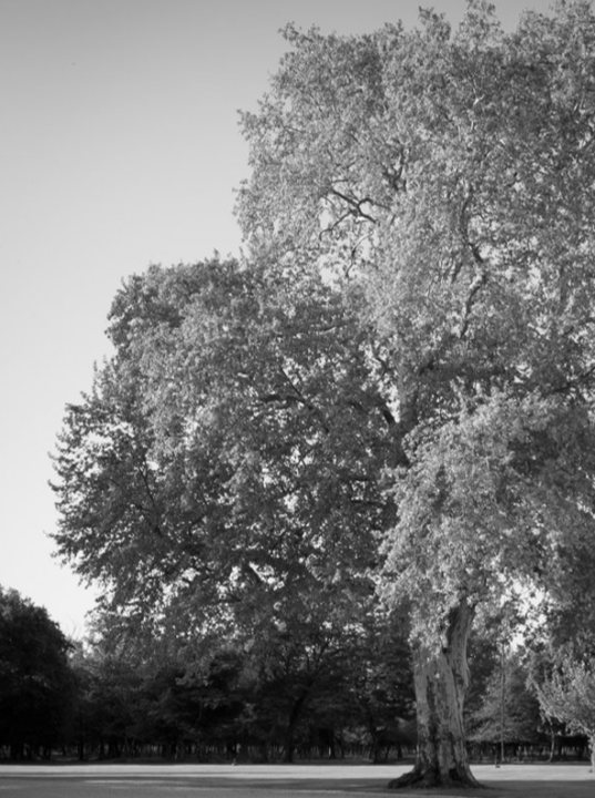 Pregnancy Loneliness (Could it be a "knock on the door" for expecting parents?) 