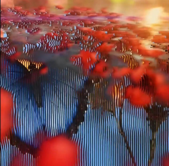 Steven-Marshall Dragert