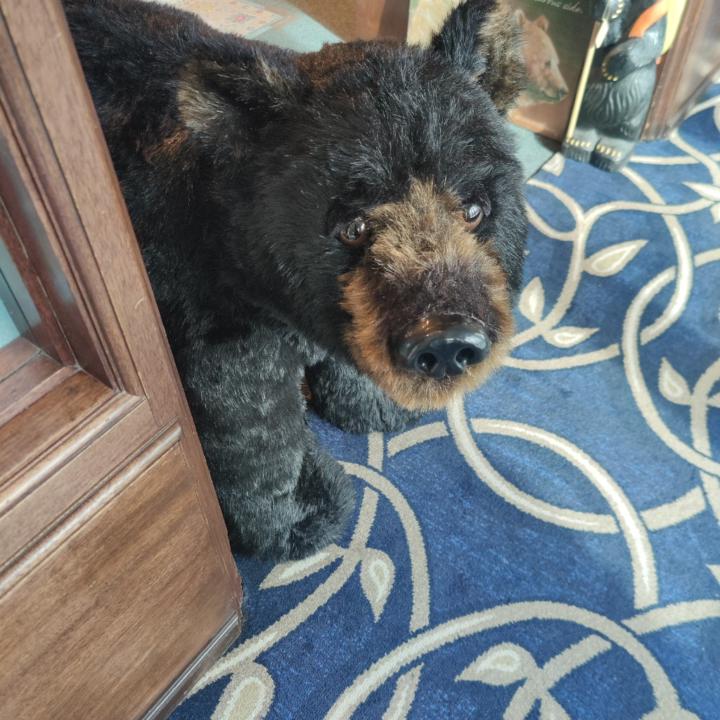 Konstantinos Nikolaou