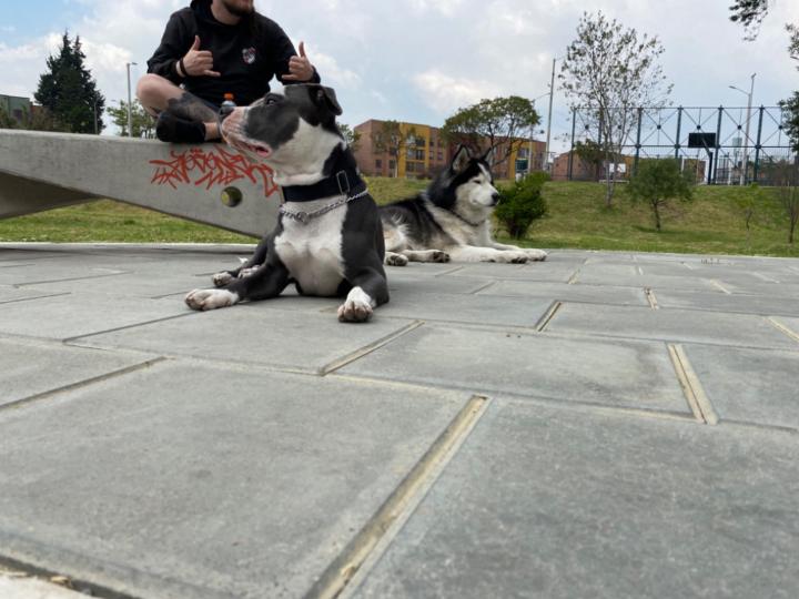 Julian Daniel Riveros Fonseca