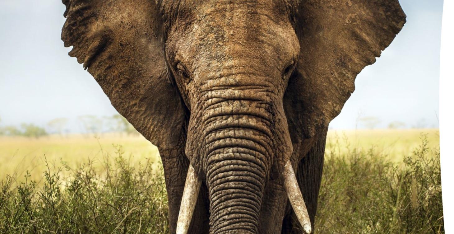 4 Pillars to Keep Control of Your Aging Journey