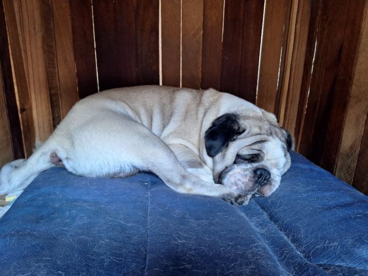 Maximiliano Vargas Garzón