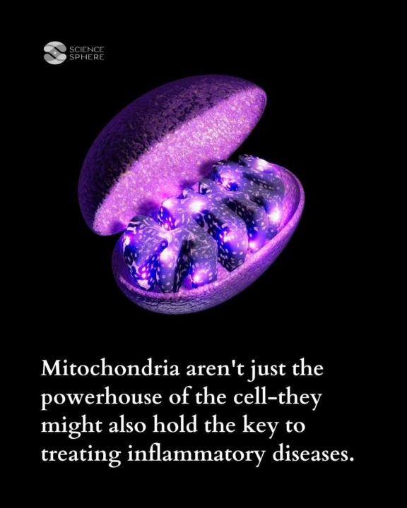 Mitochondria