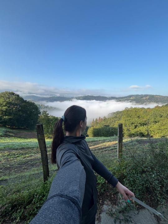 Alba Wenn