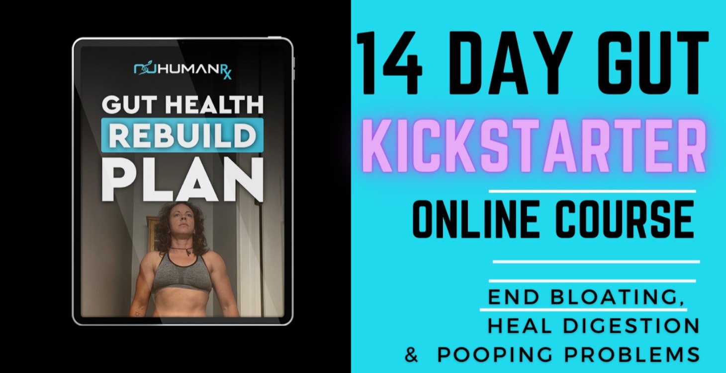 14 day Gut Kickstarter Beginner Online Course