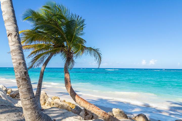 Alexander Brennemann