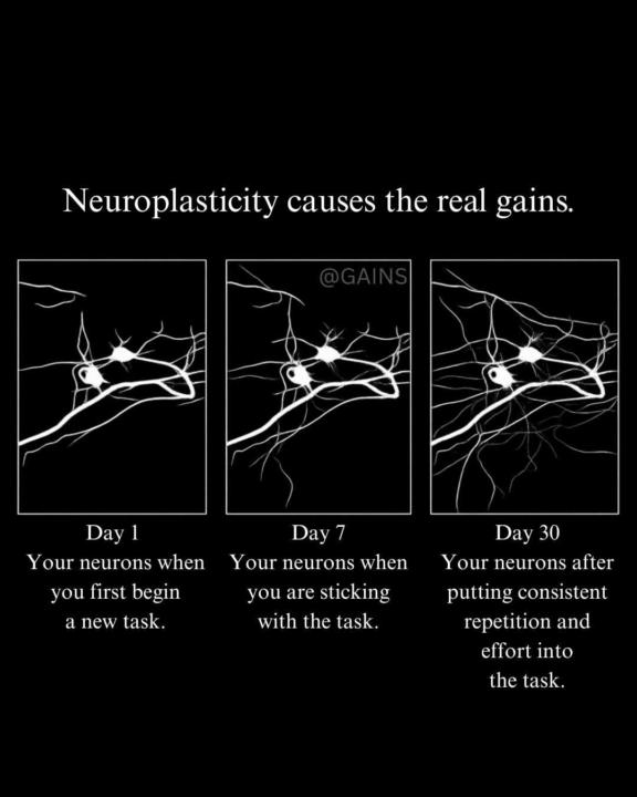 The Power of Repetition 