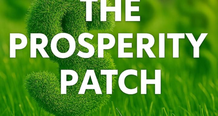 The prosperity patch