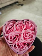 Poppy Engel