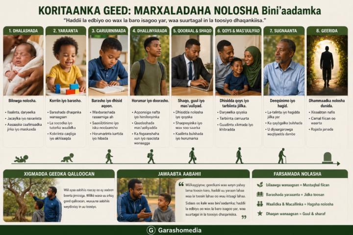 Adow Abdi