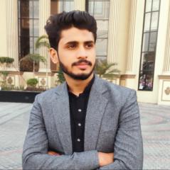 Rameez Toor